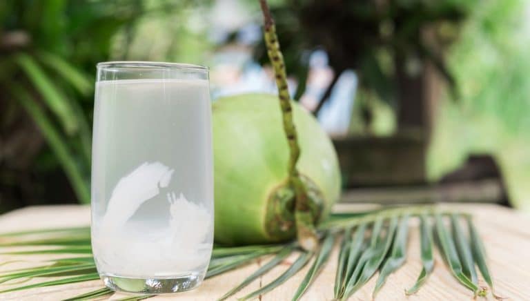 Uống nước dừa có béo không? Cách uống nước dừa giảm cân